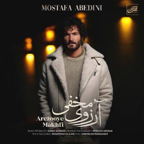 دانلود آهنگ مصطفی عابدینی آرزوی مخفی