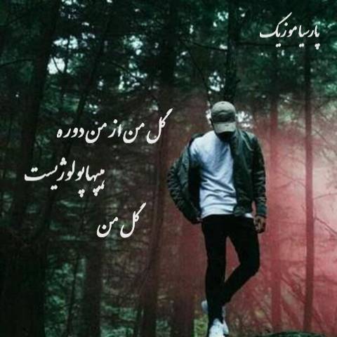 دانلود آهنگ هیپهاپولوژیست گل من