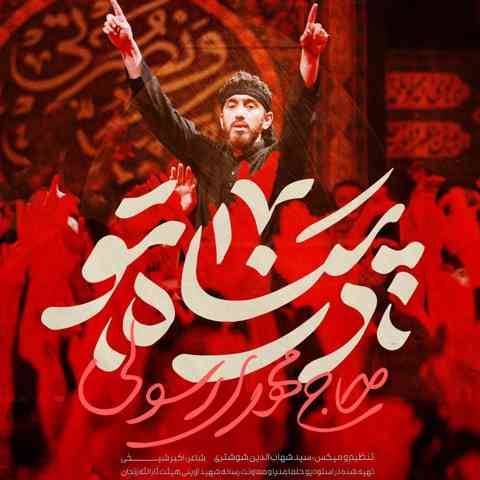 دانلود آهنگ مهدی رسولی در پناه تو