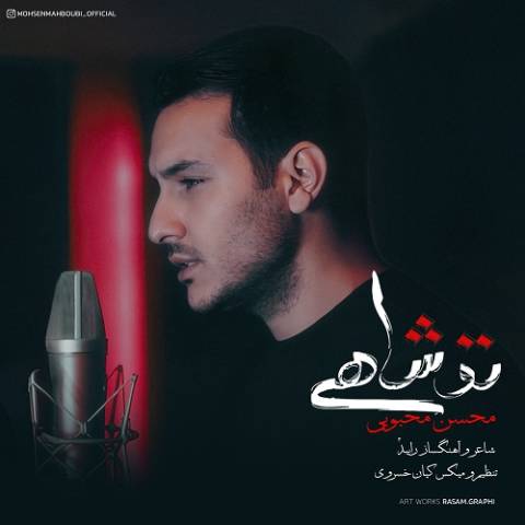 دانلود آهنگ محسن محبوبی تو شاهی