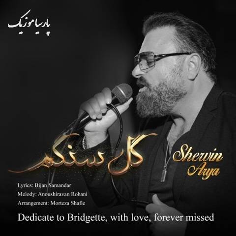 آهنگ شروین آریا گل سنگم