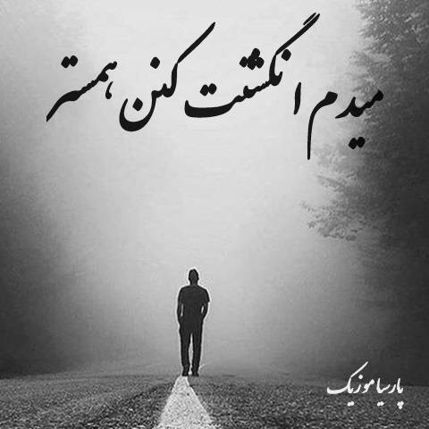 دانلود آهنگ میدم انگشتت کنن همستر