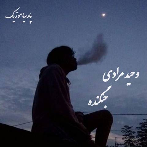 دانلود آهنگ وحید مرادی جنگنده