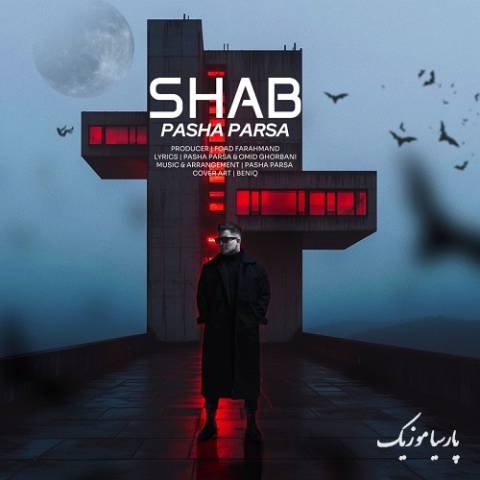 دانلود آهنگ پاشا پارسا شب