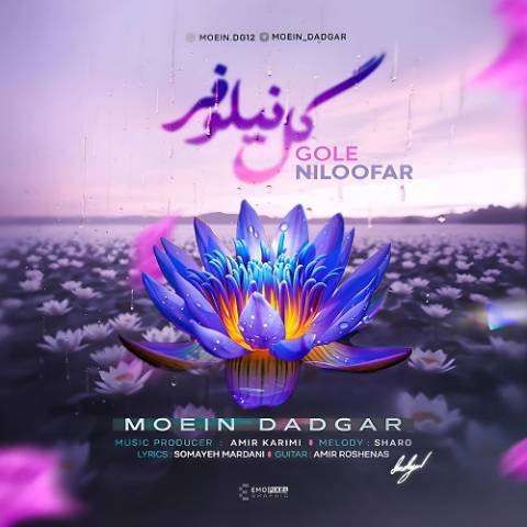 دانلود آهنگ گل نیلوفر از معین دادگر